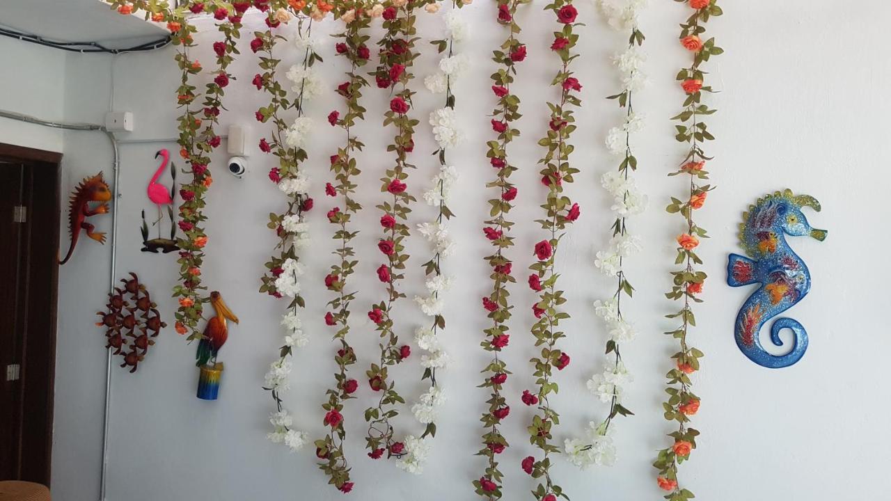 Posada Bugambilia Mazatlan Ngoại thất bức ảnh